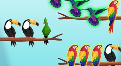 Défis de Tri d'Oiseaux - crazygames