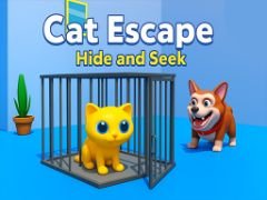 Chat Échappé - Cache-cache - crazygames