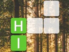 Blocs de mots - crazygames