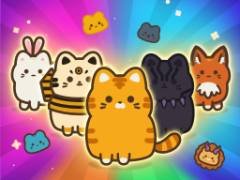 Évolution de Chat 2 - crazygames