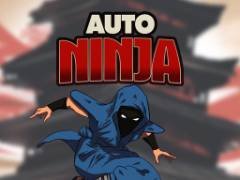 Ninja Auto - crazygames
