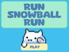 Jouez à Snowball Run - crazygames