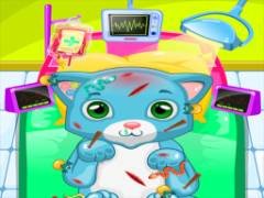 Clinique vétérinaire pour chat ASMR - crazygames