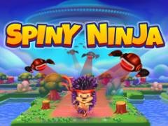 Ninja Épineux - crazygames